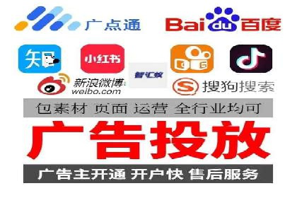 大型企业SEM外包实战案例